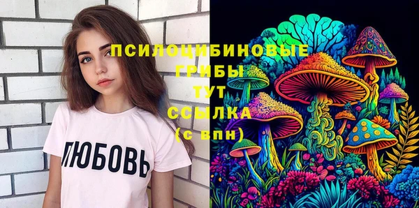 твердый Медвежьегорск