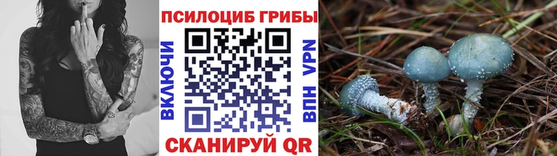 мега как зайти  Иноземцево  Галлюциногенные грибы мухоморы 